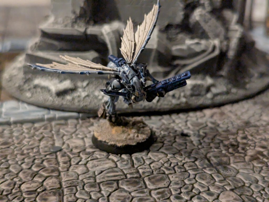 Front view focusing on wing gradient and flight pose