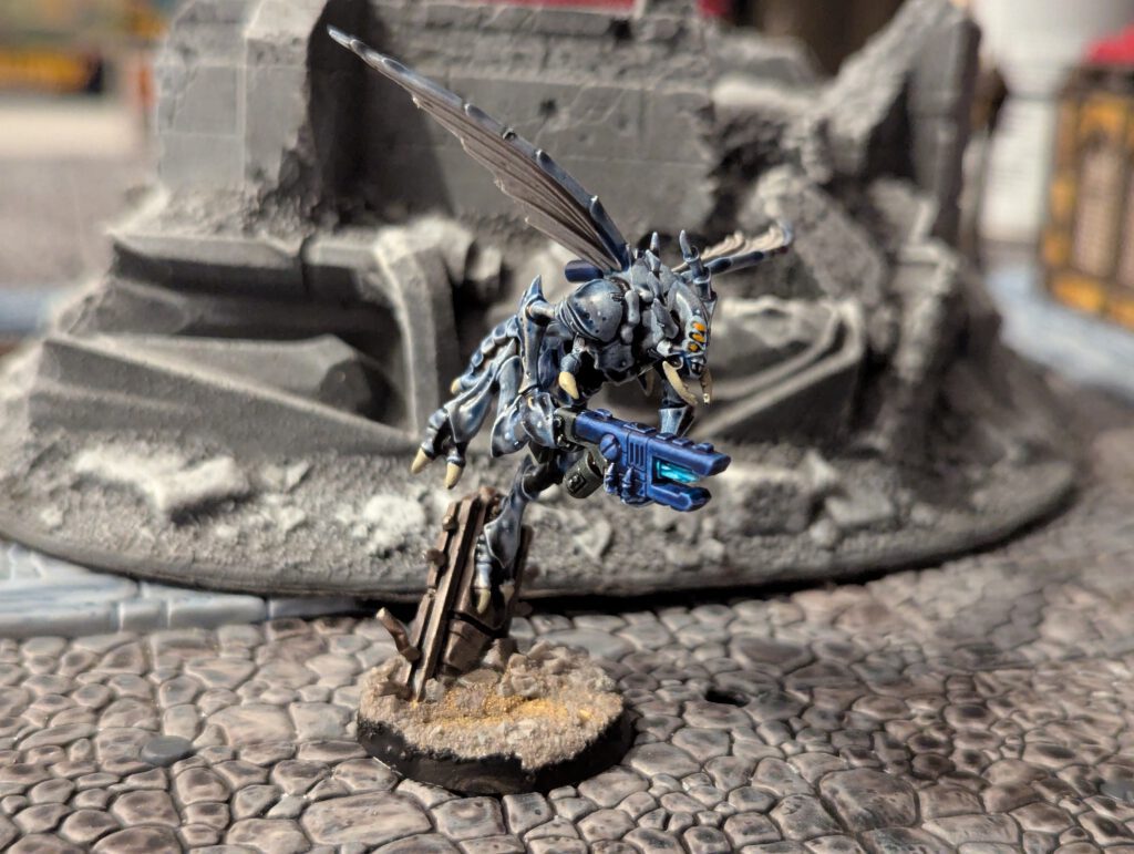 Painted Vespid Stingwing facing sideways getting ready to fly