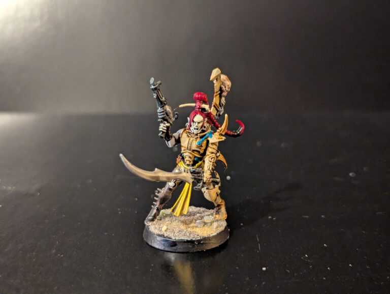 Painted Wych wielding blades in dynamic stance, viewed from a slightly elevated front angle.