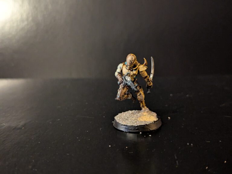 Painted Wych in agile stance with weapons raised, viewed from a top-front angle.