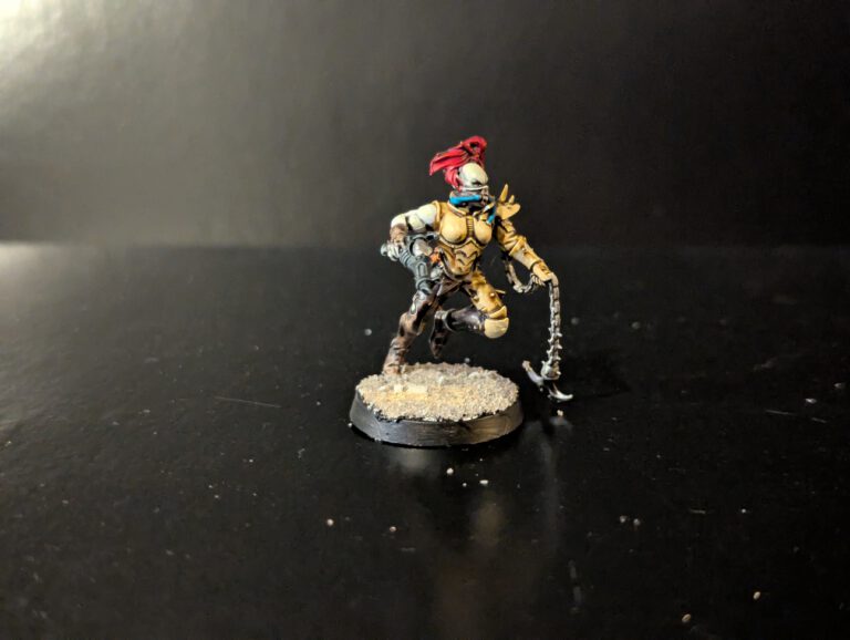 Painted Wych showcasing dynamic sculpt and armor details, viewed from a front angle.