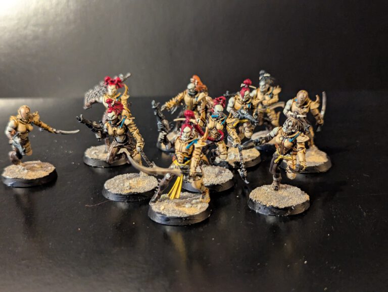 Painted Drukhari Wyches squad displayed together, viewed from a top-front angle.